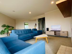 sala de estar con sofá azul y TV en ROOM IN GREAT SEA VIEW HOUSE, en Wellington