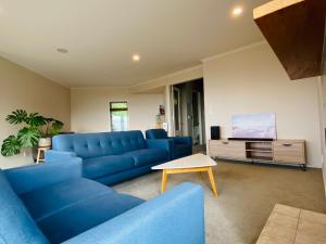 a living room with a blue couch and a tv at ROOM IN GREAT SEA VIEW HOUSE in Wellington