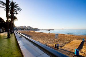 a beach with a bench and palm trees and the ocean at FLEMING PLAYA PONIENTE in Benidorm