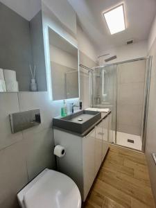een badkamer met een toilet, een wastafel en een douche bij Cipariu Corner in Cluj-Napoca