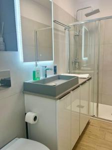 een badkamer met een wastafel, een douche en een toilet bij Cipariu Corner in Cluj-Napoca