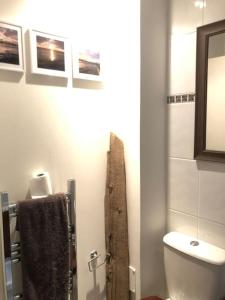 uma casa de banho com um WC, um lavatório e um espelho. em Lovely riverside flat em Stifford