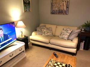 uma sala de estar com um sofá e uma televisão de ecrã plano em Lovely riverside flat em Stifford