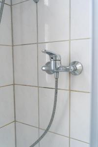 een douche met een douchekop in de badkamer bij Mainz Innenstadt 3 Zimmer Altbauwohnung in Mainz