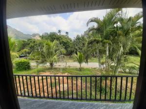 a view from the window of a resort with palm trees at K.K. Park Resort in Khao Sok National Park