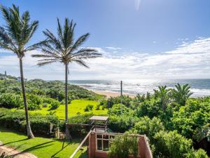 - Vistas a la playa desde un complejo con palmeras en Barieta Beach Cottages, en Umtwalumi
