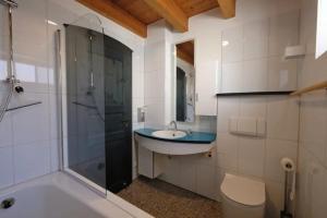 a bathroom with a sink and a shower and a toilet at Charmantes Fachwerkhaus mit Stil in Altrip