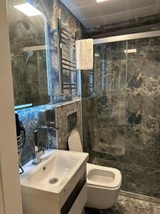 La salle de bains est pourvue d'un lavabo, de toilettes et d'une douche. dans l'établissement Sareban Hotel Istanbul, à Istanbul