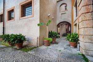 a group of potted plants in front of a building at Italianflat - Duomo Deluxe in Verona