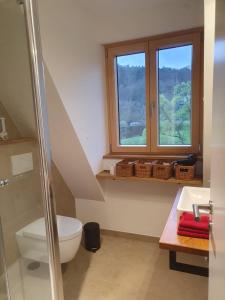 a bathroom with a toilet and a sink and a window at Zauberhaftes Franken erleben in Gräfendorf