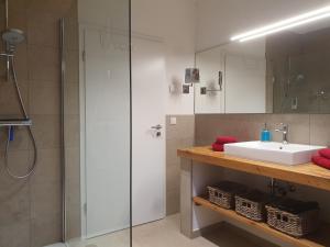 a bathroom with a sink and a shower at Zauberhaftes Franken erleben in Gräfendorf