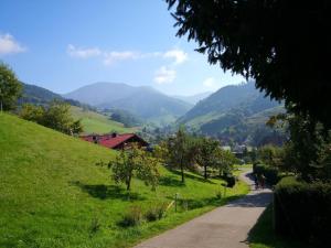 塔瑙伯格的住宿－SchwarzWaldnACHT individuell und gemütlich Blick auf die Berge Sauna im Haus, Tiefgarage Spielzimmer，一条通往山丘的小径,山丘背景是山丘