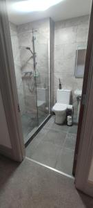 a bathroom with a shower and a toilet and a sink at John Eoinìn's Bar and accommodation in Glencolumbkille