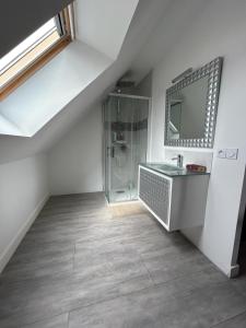 a bathroom with a shower and a sink and a mirror at Maison privative 6 chambres in Champhol