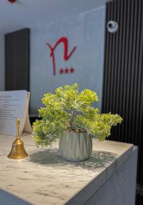 ein kleiner Bonsaibaum auf einem Tisch in der Unterkunft Hotel Neon in Timişoara
