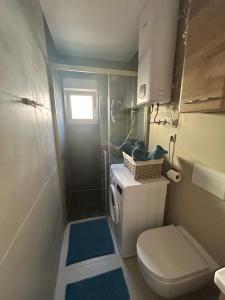 a small bathroom with a toilet and a shower at Holiday house Matej in Vir +29 photos