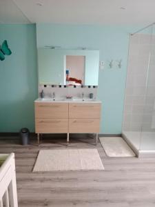 ein Bad mit einem Waschbecken und einem Spiegel in der Unterkunft maison ancienne in Louviers
