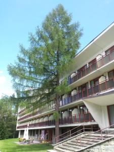 a large building with a tree in front of it at Geovita Zakopane in Zakopane