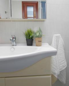 a bathroom sink with two plants on top of it at Only One in Ermoupoli
