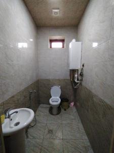 een badkamer met een toilet en een wastafel bij Rashid in Gabala