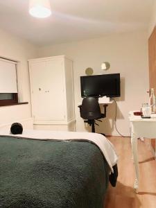 1 dormitorio con 1 cama y TV de pantalla plana en Prince's room, en Dublín