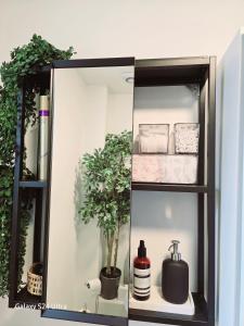 un estante con una botella de jabón y una planta en Prince's room, en Dublín