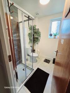 a bathroom with a glass shower and a toilet at Prince's room in Dublin