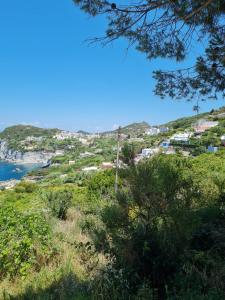 a view of a town from a hill with the ocean at Le Case dei Pescatori - Albicocco in Ponza