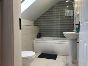 a bathroom with a toilet and a sink at Sunville Cottage in Limerick