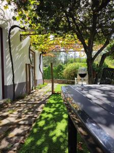 een tuin met een tafel en een boom bij Casa do Lago in Vila de Rei