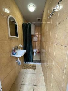 La salle de bains est pourvue d'un lavabo, d'une douche et de toilettes. dans l'établissement TJ+ Hostel, à Batoumi