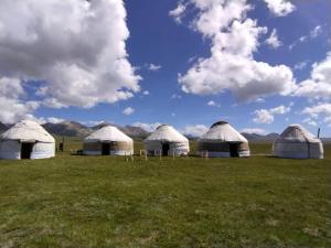 eine Gruppe von fünf Kuppeln in einem Feld mit Bergen in der Unterkunft Tunduk son-kol yurt camp in Song-Kul