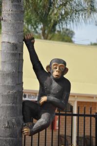 
a statue of a man on a bench at Pinjarra Resort in Pinjarra
