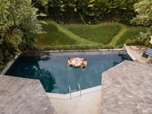 Bazén v ubytování The Sender Pool Suites nebo v jeho okolí