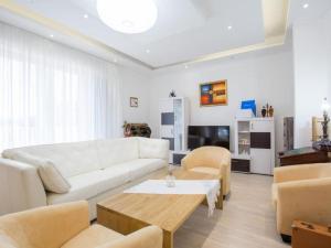 TV a/nebo společenská místnost v ubytování Stone Villa Bosnic