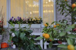 a window with flowers in a window box at Qing Noise Villas in Hualien City