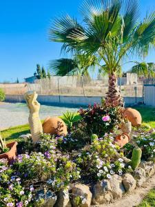 Chalet La Calma en Lorca في لوركا: حديقة فيها نخلة وبعض الزهور