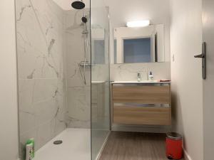 een badkamer met een douche en een wastafel bij Coeur urbain - centre historique in Montpellier