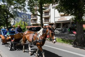 Un cavallo che tira una carrozza lungo una strada cittadina di Studio Apartment Villa Mistral Świnoujście by Renters a Świnoujście
