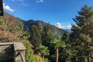 a view of a mountain range with trees and a bench at Chalet Mergoscia - Freistehendes Chalet mit Pool und Garten am Rande eines malerischen Bergdorfes im Verzascatal in Mergoscia