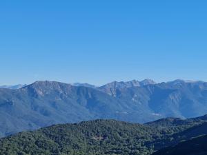 a view of a mountain range with trees in the foreground at Ferme auberge du col de la vaccia in Olivese