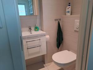 a small bathroom with a toilet and a sink at Apartment Tryms vei 20a - Elegant eget bygg in Kristiansand