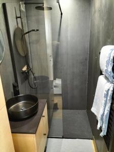 La salle de bains est pourvue d'un lavabo et d'une douche. dans l'établissement Studio Zen et Bois, à Écouflant