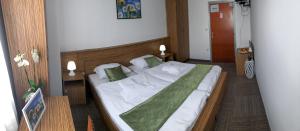 Postel nebo postele na pokoji v ubytování Restavracija in prenočišča ČARDA