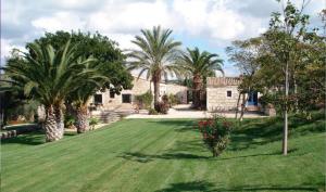 un gran patio con palmeras y una casa en Case Malavilla, en Santa Croce Camerina