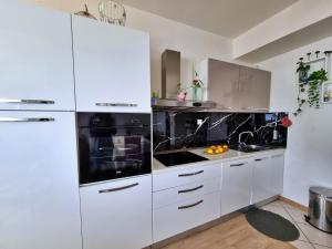 Kuchyňa alebo kuchynka v ubytovaní Apartment Lada