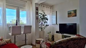 Televízia a/alebo spoločenská miestnosť v ubytovaní Apartment Lada