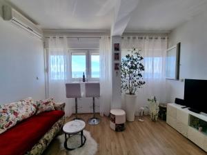 Televízia a/alebo spoločenská miestnosť v ubytovaní Apartment Lada