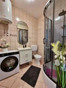 a bathroom with a washing machine in a shower at Apartment Lada in Jesenice