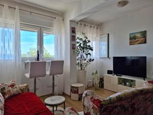 Televízia a/alebo spoločenská miestnosť v ubytovaní Apartment Lada